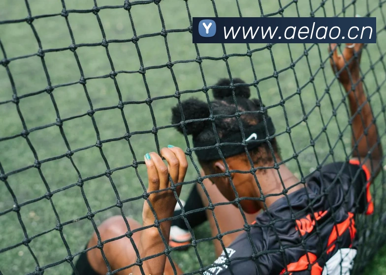 ayx官方网页服务体系